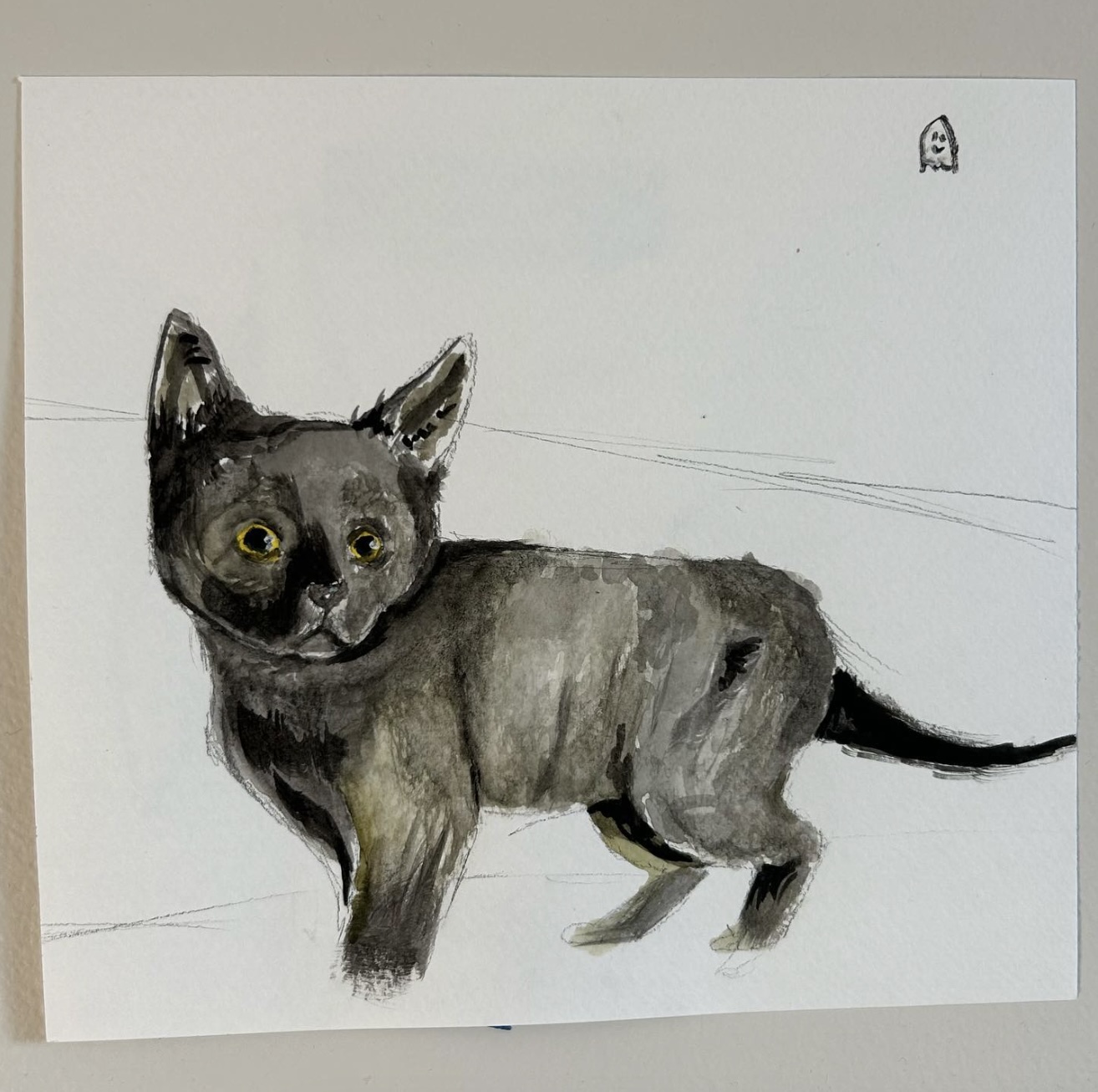 drawing of cat